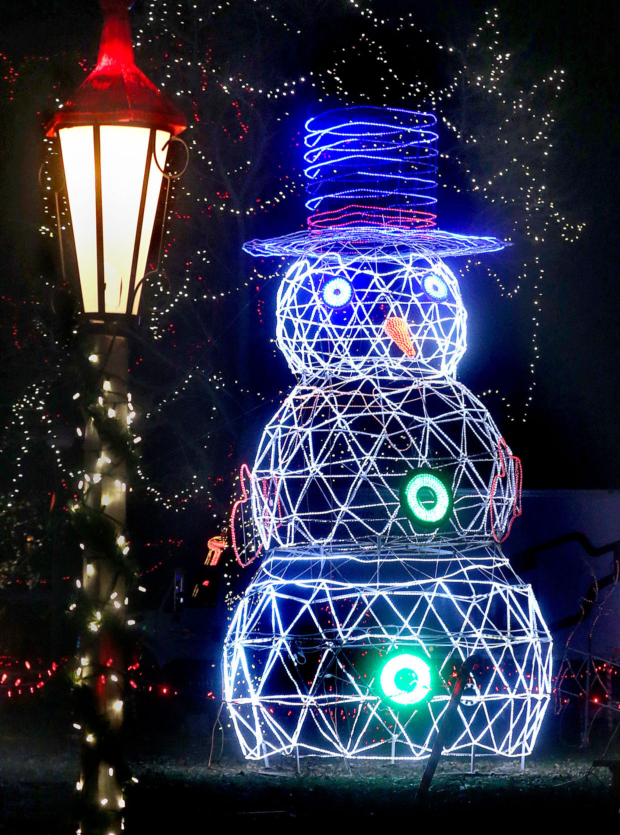2019 Rotary Lights display in Riverside Park